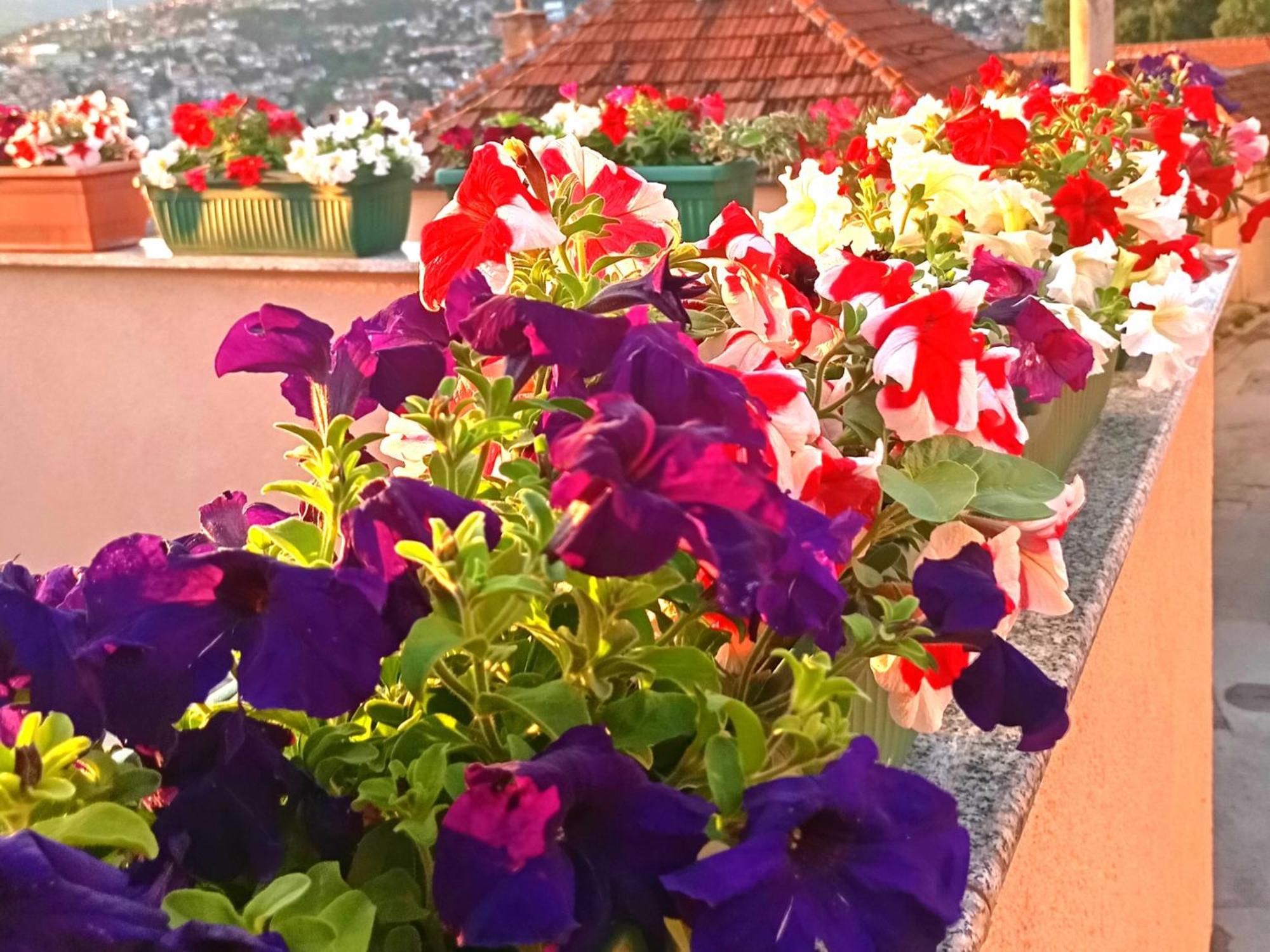 Апартаменты Garden Free Parking Сараево Экстерьер фото
